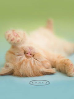 Марина Балашова