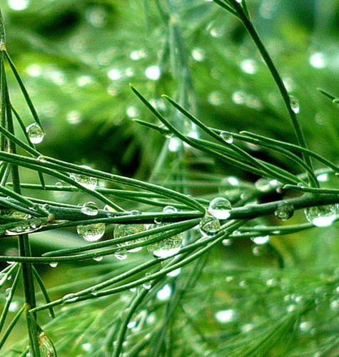 Юлия Чиликова