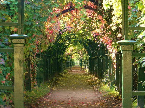 Любовь Литинская