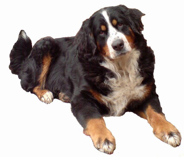 Валера Гловацкий