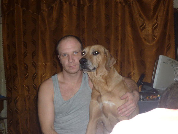 Сергей Николаенко