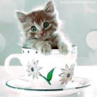 Дракулаура К.