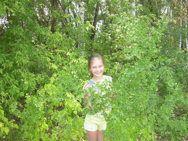 Неизвестно Неизвестно