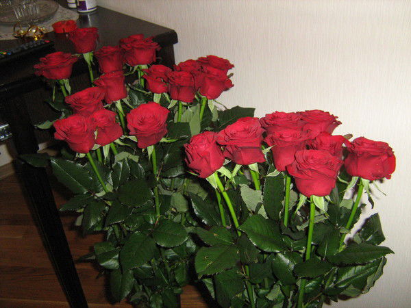 Светлана Демина