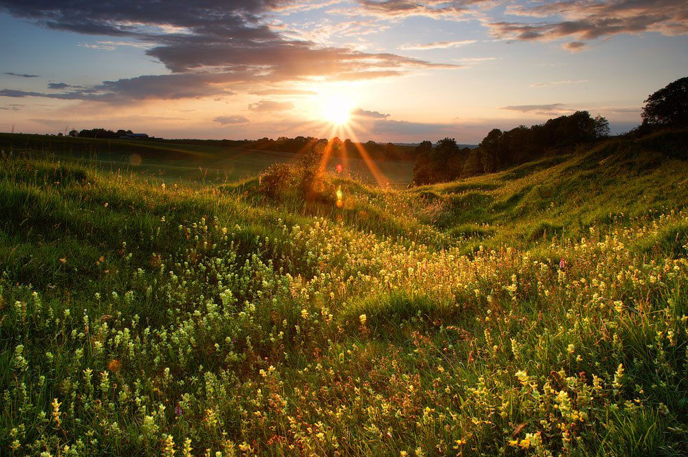 Никита Ягудин