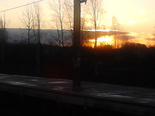 Алексей Царев