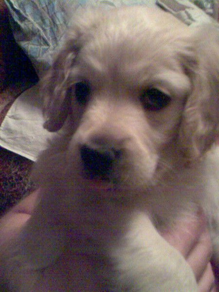 Стоп Машины