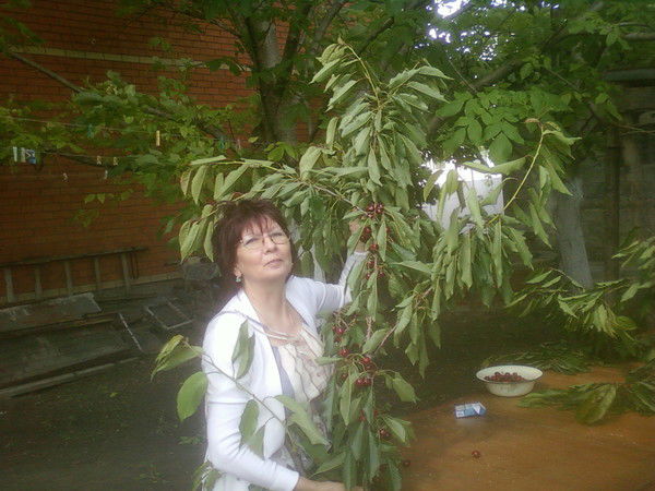 Людмила Исаева