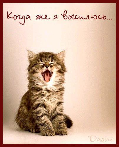 Людмила Соловьёва