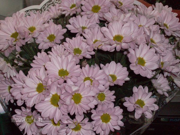 Елена Непомнящих