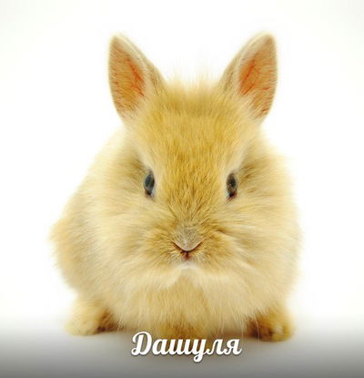 Дарья Хоменко