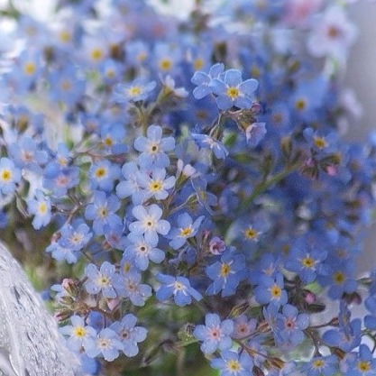 Александра Ерёмина