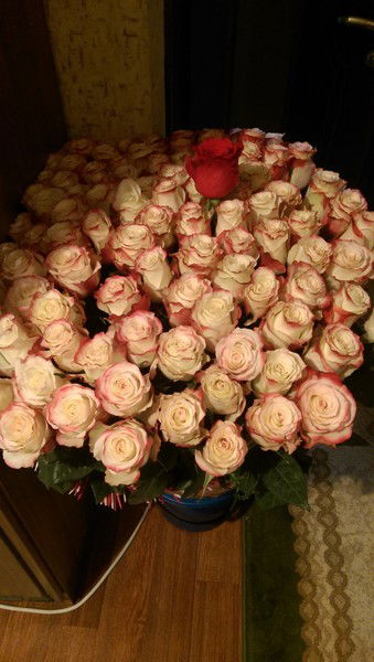 Алеся Кустутинова