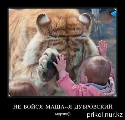 Светлана Белоножкина