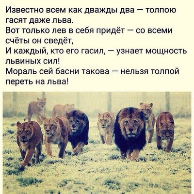 Александр Павловский