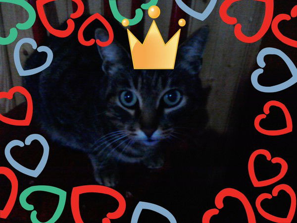 Анна Кулькина