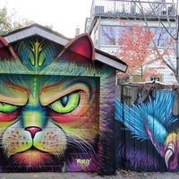 Роман Данилушкин