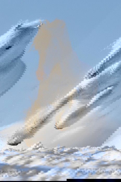 Нуркен Абдукадир