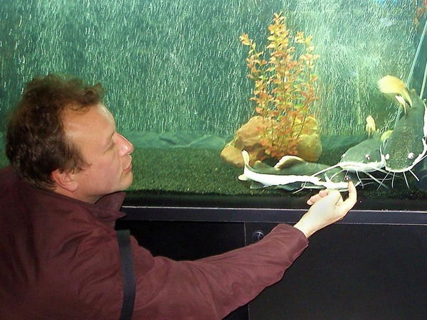 Сергей Галкин