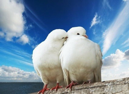 Ирина Спицына