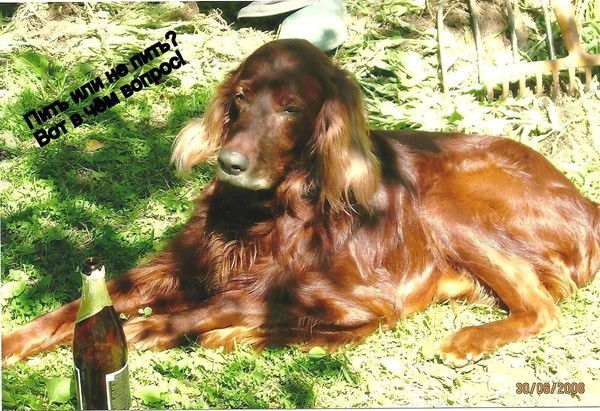 Леонид Песоченский