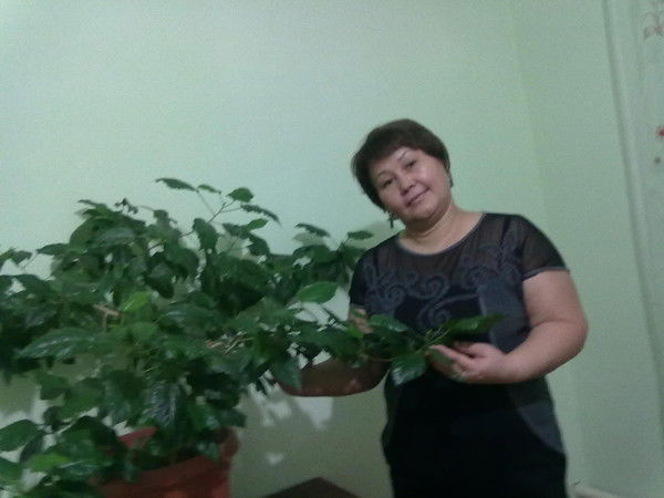 Света Кулмуканова