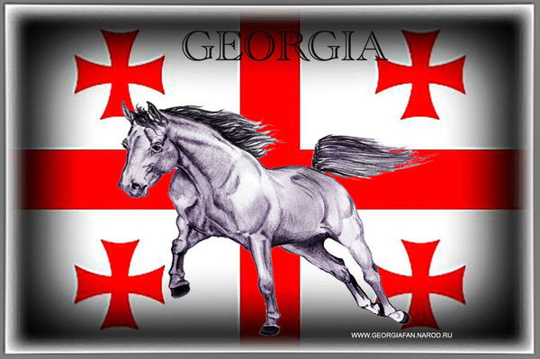 Гога Рухаиа