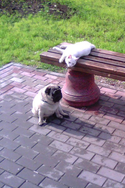 Светлана Женина