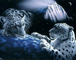 Сергей Недосеков