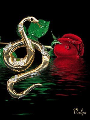 Вера Свестула