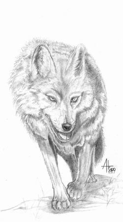 Михаил Юдин