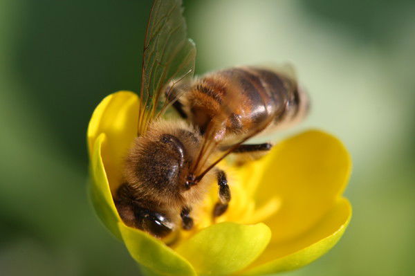 Петр Матюха