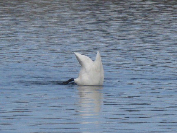 Евгений Малов