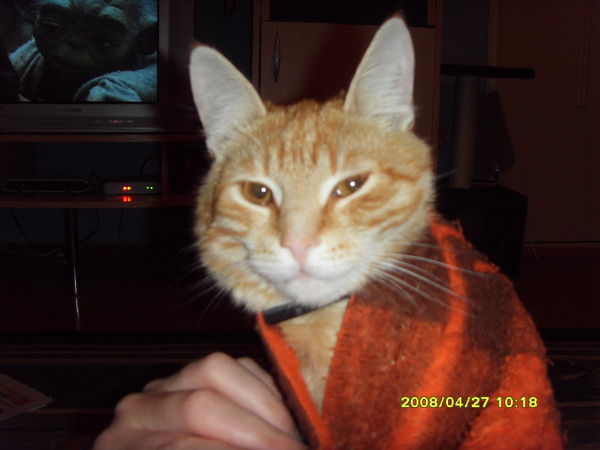 Сергей Скурат