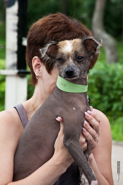 Ирина Березуцкая