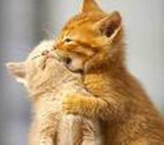 Александр Михайловичев