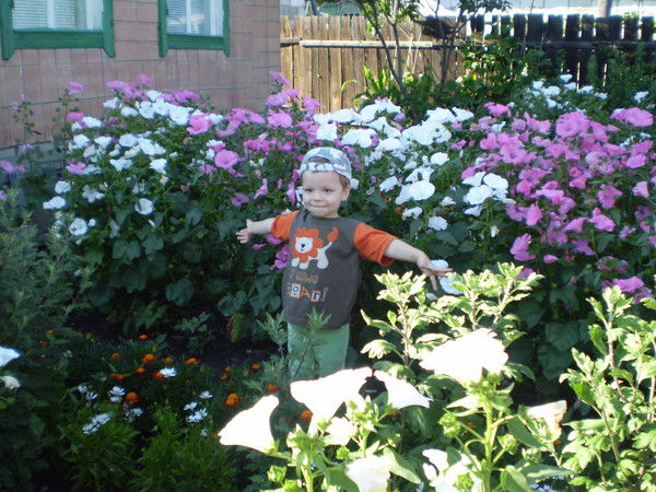 Наталья Луцкая