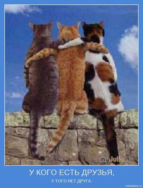 Вячеслав Гуськов