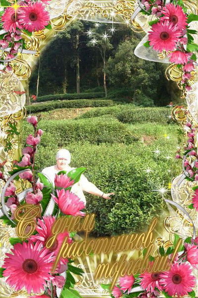 Сания Галяутдинова