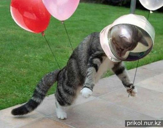 Летун Попрыгун