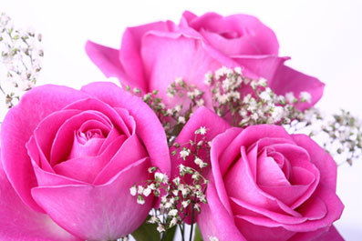 Сандугаш Кашкынгалиева