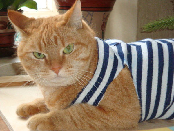 Беляева Ксения