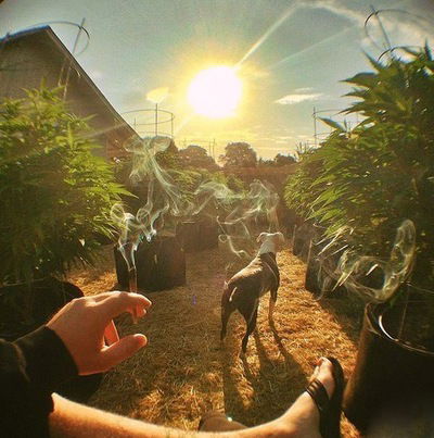 Вадик Ионов