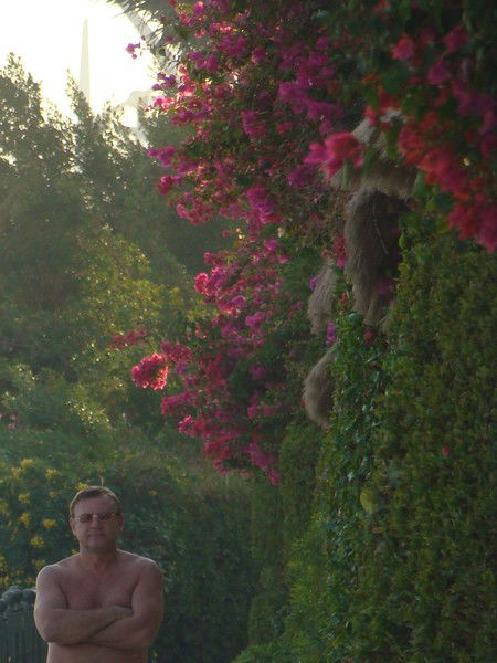 Валерий Михайлов