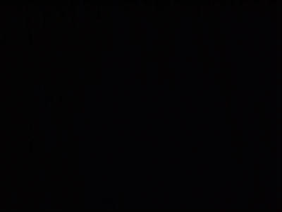 Семён Соловьёв