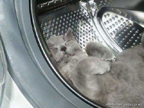 Дмитрий Морозов