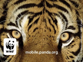 Джангар Отыров