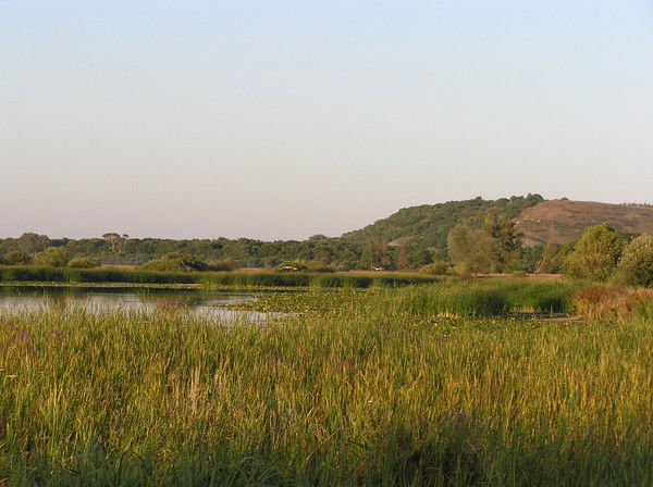 Олег Филипьев