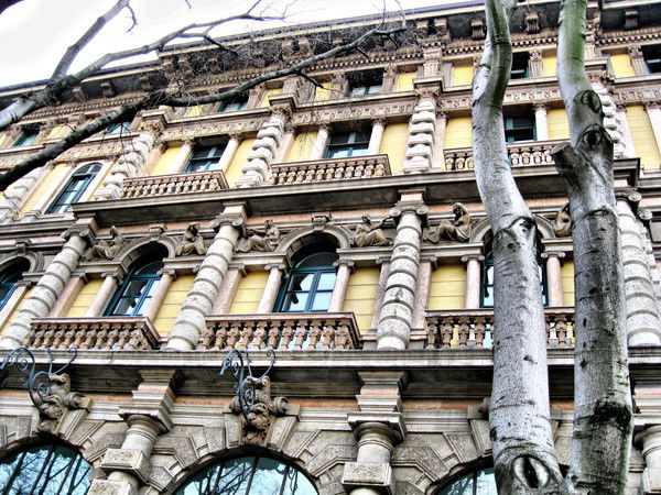 Светлана Источникова