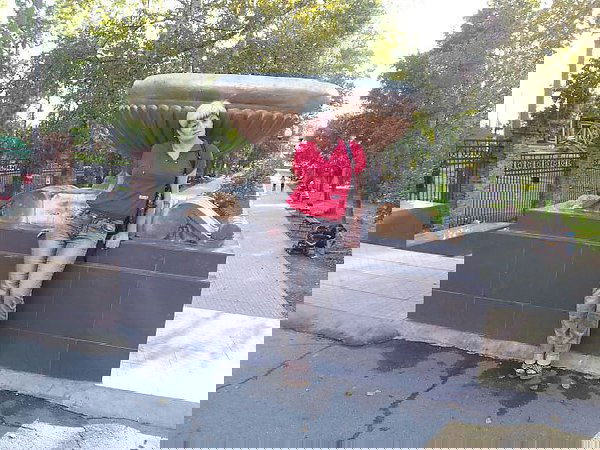 Владимир И Оленька